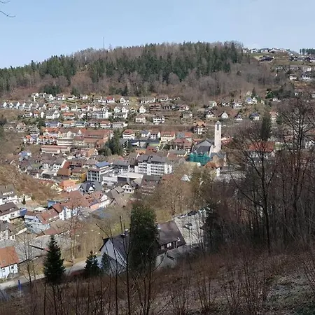 2 In Triberg 公寓